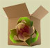 suggestion box